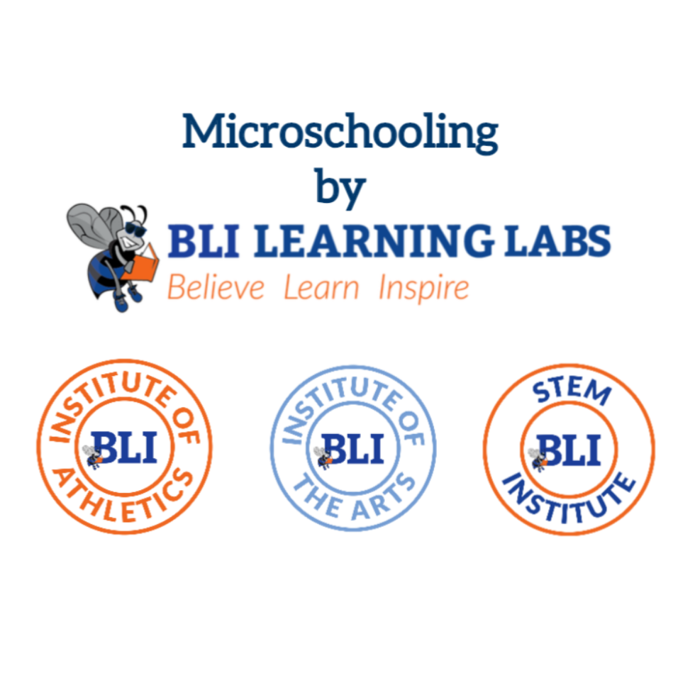 A Performing Arts Microschool BLI Institute An Innovative Microschool